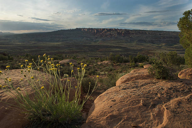 Arches National Park, Utah stock photo