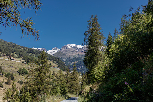 Mountain landscape in Aosta Valley - Vallée d'Ayas. In the background, Monte Rosa massif.