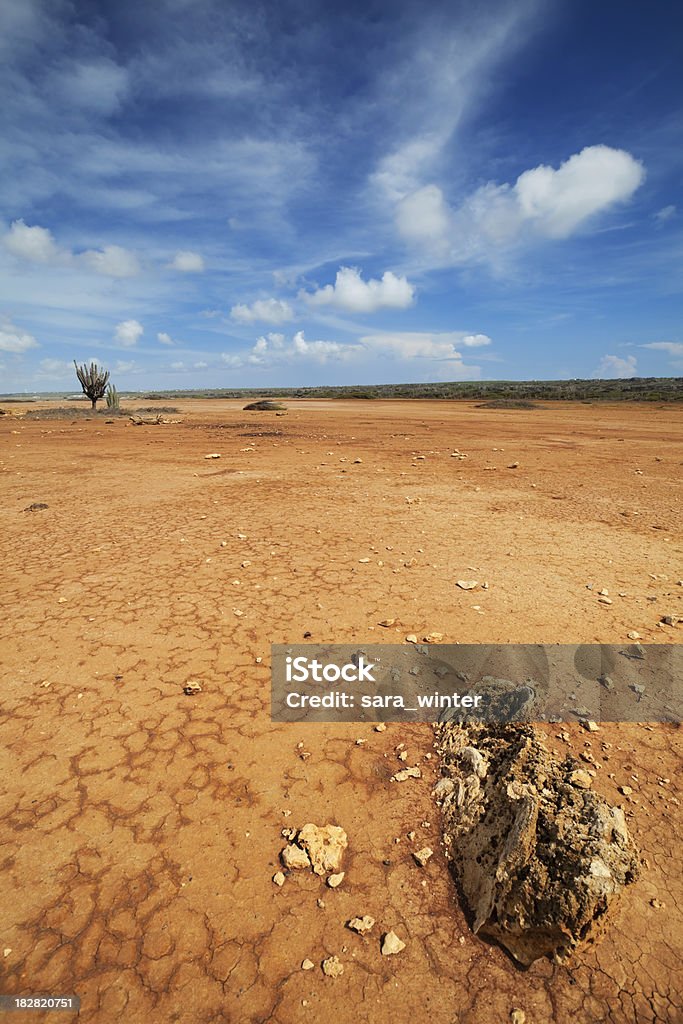 Paisagem do deserto, no Hato simples, Curaçao, Antilhas Holandesas - Foto de stock de Alto contraste royalty-free