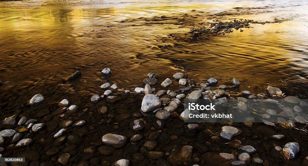 Pebbles- outono - Royalty-free Amarelo Foto de stock