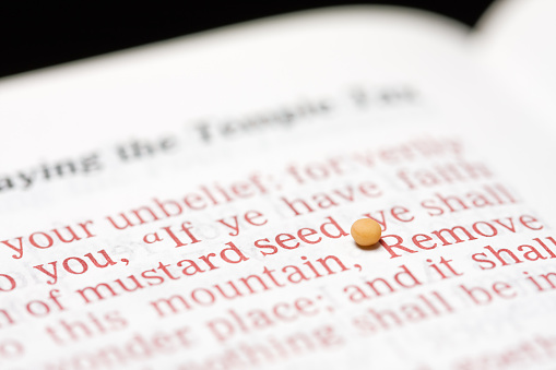 A mustard seed on a Bible open to Matthew 17:20 which refers to having faith as tiny as a grain of mustard seed.  Text is King James version and focus is on the mustard seed.