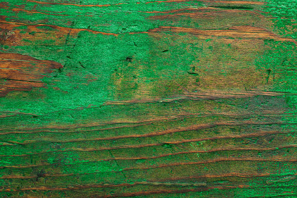 istock Grungy green painted wood 182821178