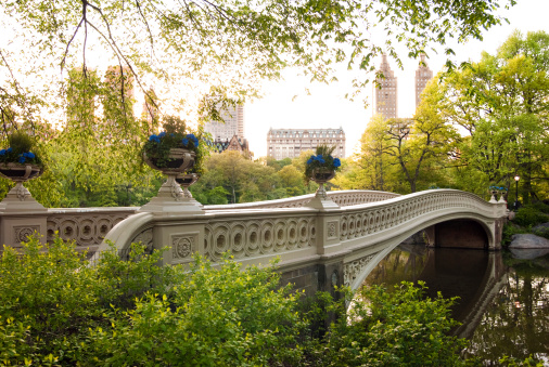Bow Bridge at Central Park in Manhattan in New York City with trees surrounding it and buildings in the background. Other images of the Bow Bridge.
