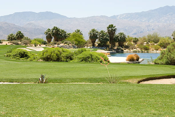 istock Firecliff Golf Course, Desert Willow, Palm Springs, California 182821618