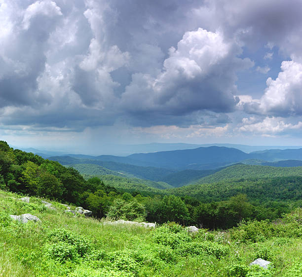 primavera de storm - treelined tree shenandoah river valley blue ridge mountains imagens e fotografias de stock