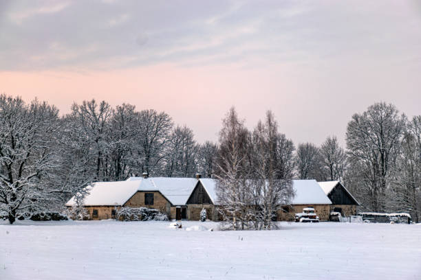 istock beautiful winter landscape, blue hour, dusk 1828223180