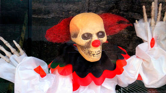 Fake skeleton disguised as a clown, with red nose and wig. Halloween.