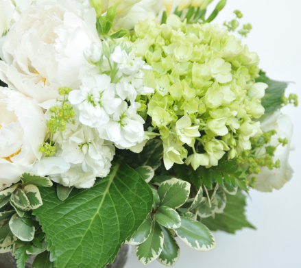 Bouquet of hydrangea and peony in white and green. For more flowers (click