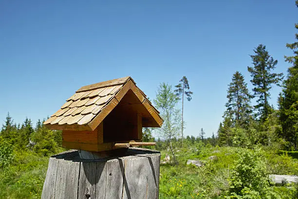 Summerday in Black Forest with traditional bird house