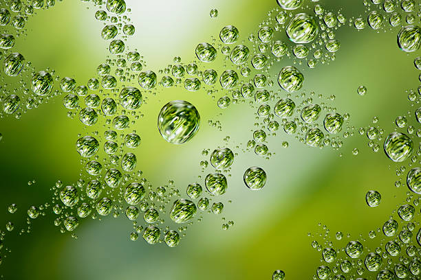 Macro photograph of water drops reflecting a grass background.