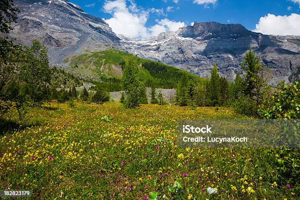 Fruehlingswiese Stockfoto und mehr Bilder von Kanton Wallis - Kanton Wallis, Kräuter, Alpen