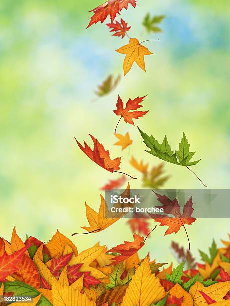 Красота Осень — стоковые фотографии и другие картинки Без людей - Без людей, Большая группа объектов, Вертикальный