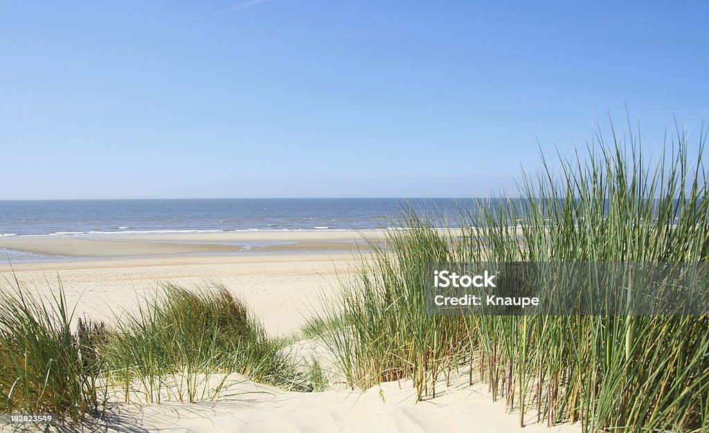 Vista para o mar de dunas de areia e grama - Foto de stock de Duna royalty-free