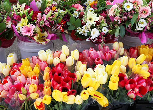 istock Fresh Flowers Market 182823952