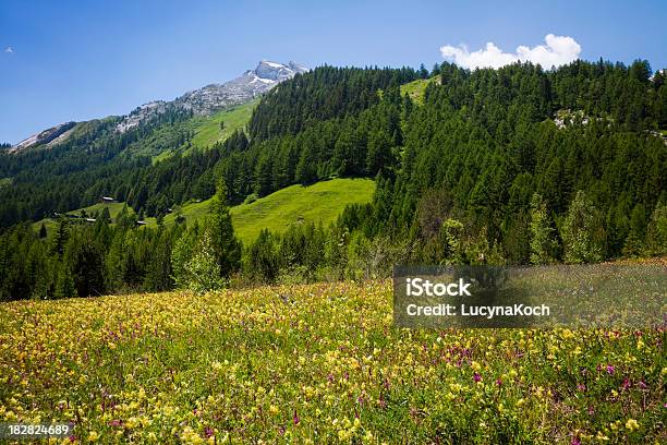 Fruehlingswiese Stockfoto und mehr Bilder von Alpen - Alpen, Baum, Berg