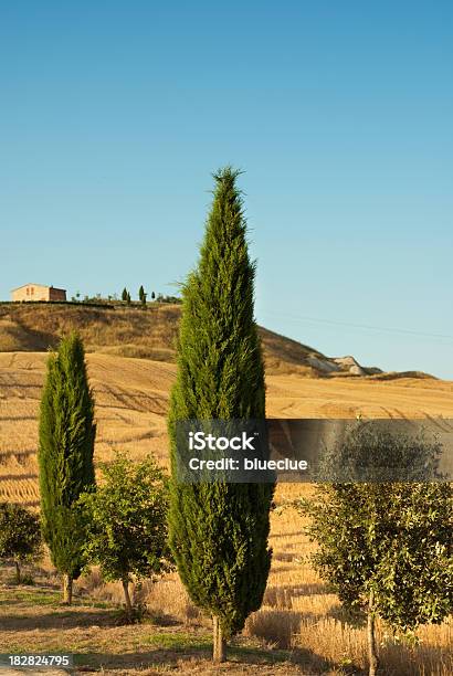 아름다운 Toscany 0명에 대한 스톡 사진 및 기타 이미지 - 0명, 6월, 곡초류