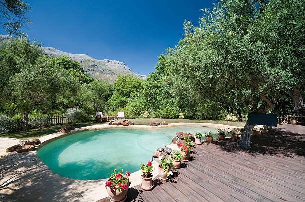 istock Swimming pool amongst the trees 182825077