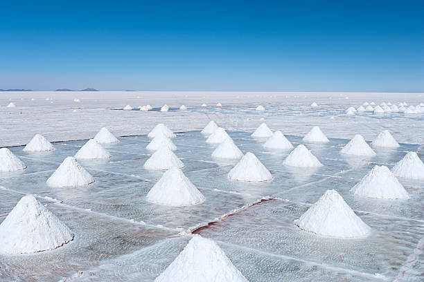 istock Salar de Uyuni, Altiplano Bolivia 182825135