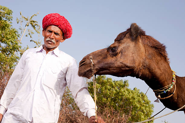 istock Traditional Rural Indian Man with his Camel in Rajasthan 182825170