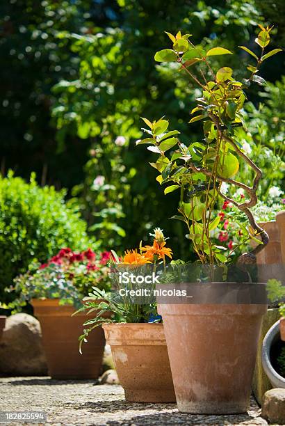 Foto de Flower Garden e mais fotos de stock de Vaso de flor - Vaso de flor, Canteiro de Flores, Cerâmica