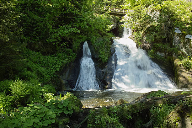 cascade dans la forêt verte triberger cascades - triberg photos et images de collection