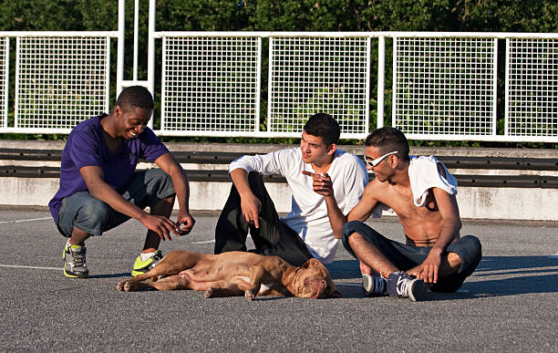 Young men sitting on the ground and talking stock photo