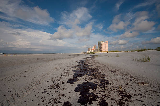istock Gulf Oil Spill 182826506