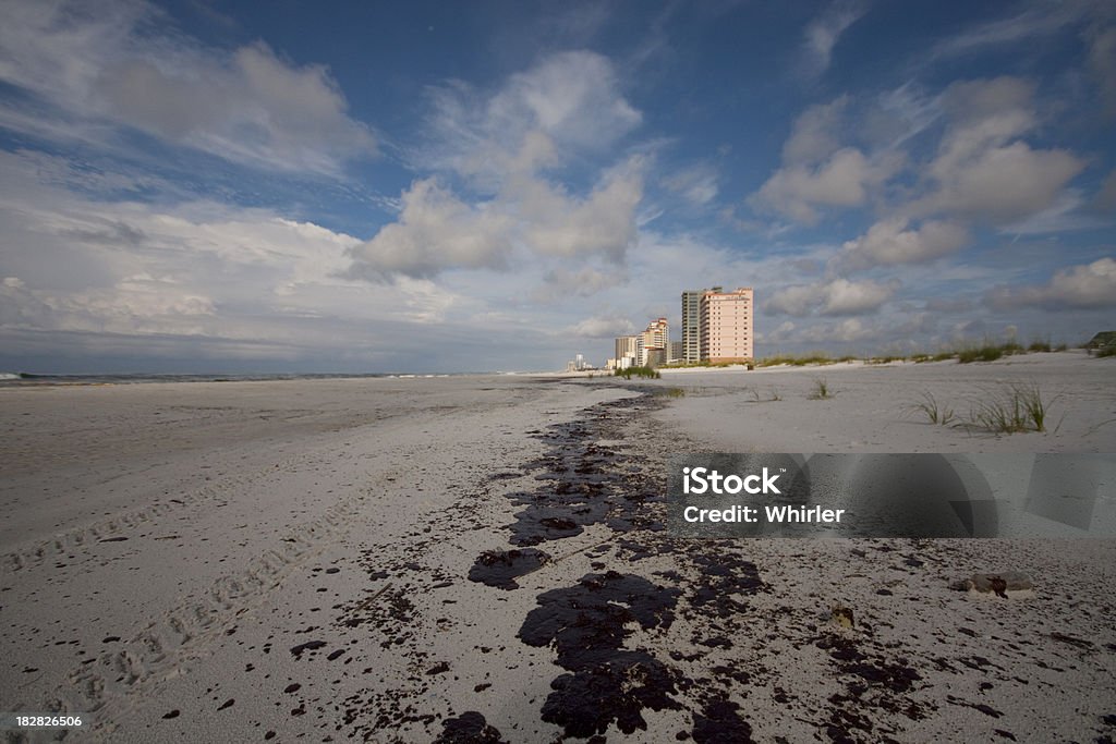Golfo Derrame de Petróleo - Royalty-free Alcatrão Foto de stock