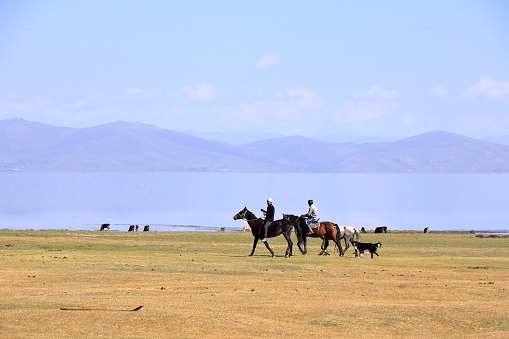 August 23 2023 - Song kol lake in Kyrgyzstan: nomad people live their ordinary life on the summer pasture