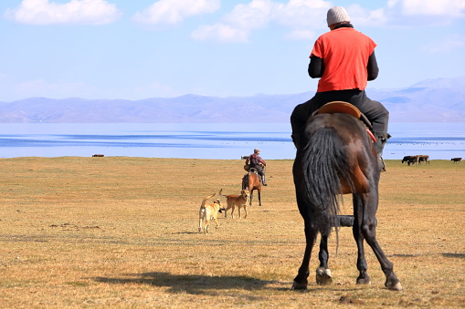 August 24 2023 - Song kol Lake in Kyrgyzstan: Locals play kok boru (ulak tartysh), traditional horse game, with leather dummy instead of a goat carcass