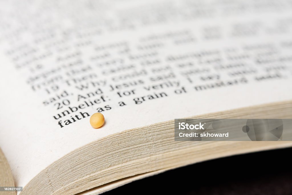 Graine de moutarde-foi et Bible texte - Photo de Graines de Moutarde libre de droits