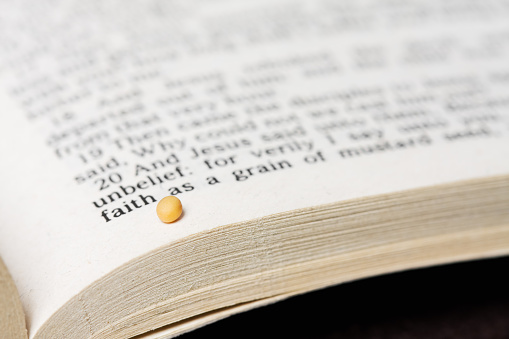 Mustard seed on a Bible.  Text is (King James Versions) Matthew 17:20 which refers to having faith as tiny as a grain of mustard seed.  Focus is on the mustard seed.