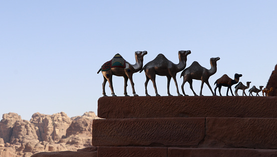 Desert landscape with camel .