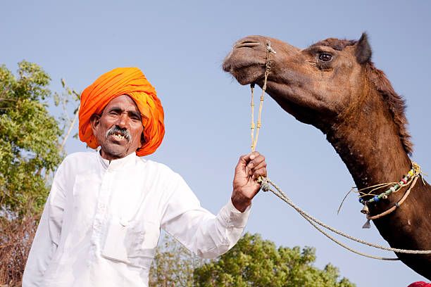 istock Traditional Rural Indian Man with his Camel in Rajasthan 182827776