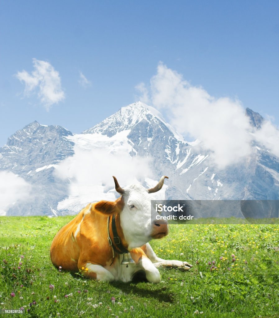 Alpen vaca - Foto de stock de Fêmea de mamífero royalty-free