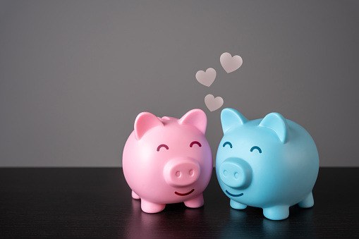 Love of two piggy banks. Emotional connection, mutual care. The concept of starting a life together and a shared budget for spending. Building a life in financial harmony.