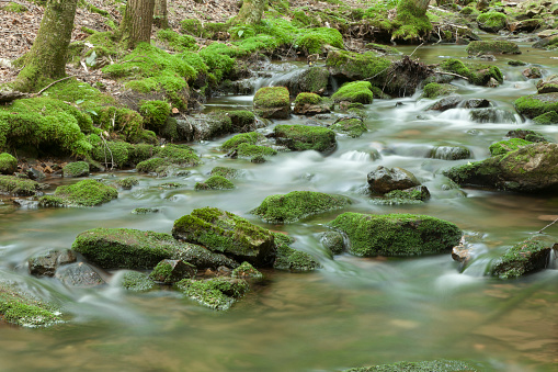Refreshing, cool mountain stream, water motion blurred with long exposure,