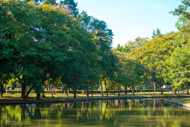 A waterside park for morning exercise to start your day off right.