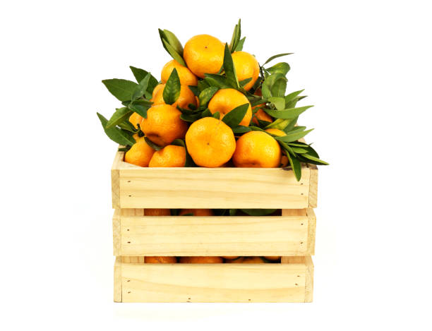 istock Tangerines in wooden crate isolated on white background. 1828290778