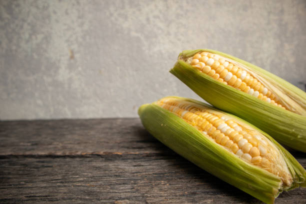 istock Fresh organic sweet corn from the farm on a wooden background with copyspace 1828291304