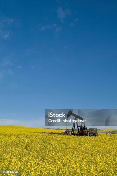 Indústria Petrolífera Pumpjack De Canola Field - Fotografias de stock e mais imagens de Abastecer - Abastecer, Amarelo, Azul