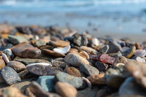 Sea pebbles on the seashore close-up, sunlight, day, selective focus, horizontal. Vladivostok, Sea of ​​Japan.