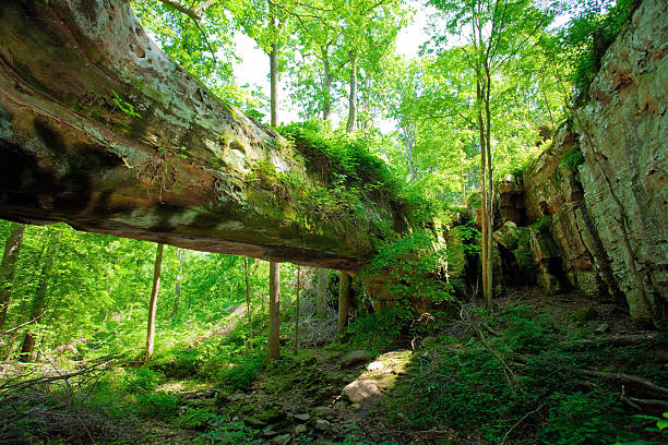 Southern Illinois - Pomona Natural Bridge "Pomona Natural Bridge state park in Carbondale, Southern Illinois" illinois nature stock pictures, royalty-free photos & images