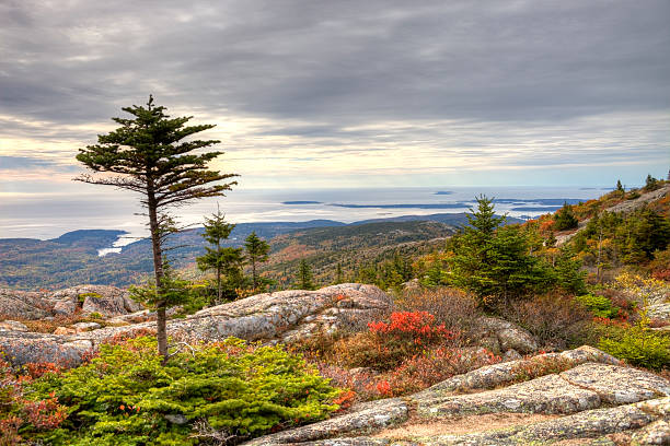 Cadillac Mountain in acadia National Park, Maine at 1532 feet, is the tallest mountain on Mount Desert island and the highest point along the North Atlantic seaboard. Photo taken on a calm tranquil morning during the peak fall foliage season. Maine fall foliage ranks with the best in New England