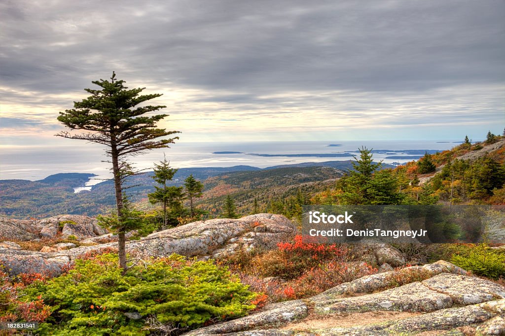 Montanha Cadillac no Parque Nacional de Acadia - Foto de stock de Parque Nacional de Acadia royalty-free