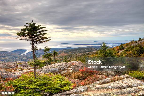 Foto de Montanha Cadillac No Parque Nacional De Acadia e mais fotos de stock de Parque Nacional de Acadia - Parque Nacional de Acadia, Setembro, Ajardinado