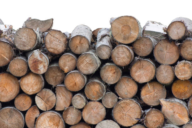 Logs and firewood for a fireplace or stove is stacked. Wood processing. White background