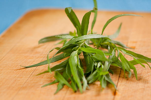 Fresh Tarragon Fresh tarragon on a cutting board. tarragon cutting board vegetable herb stock pictures, royalty-free photos & images