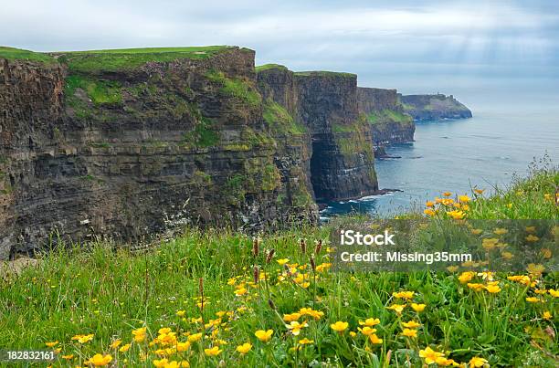 Klify Moher W Spring - zdjęcia stockowe i więcej obrazów Klify Moher - Klify Moher, Bez ludzi, Dziki kwiat