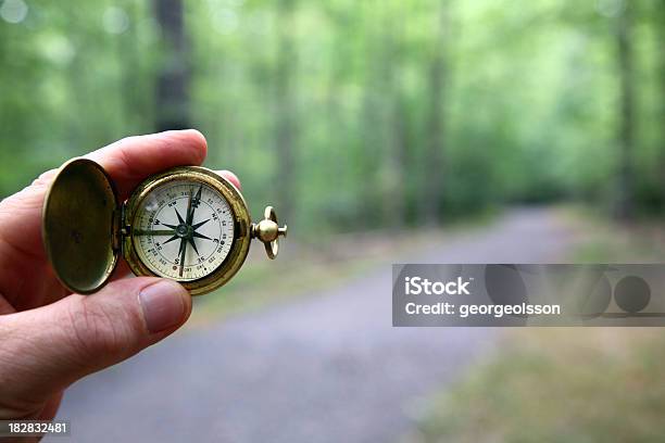 Compass With Blurred Woods Trail Stock Photo - Download Image Now - Navigational Compass, Footpath, The Way Forward